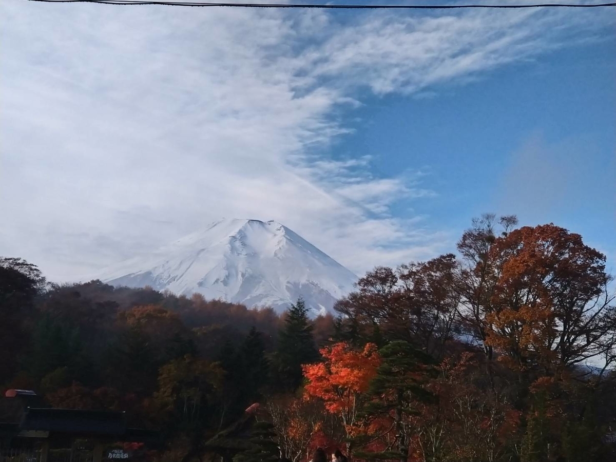 f:id:enjoyme:20211107135428j:plain