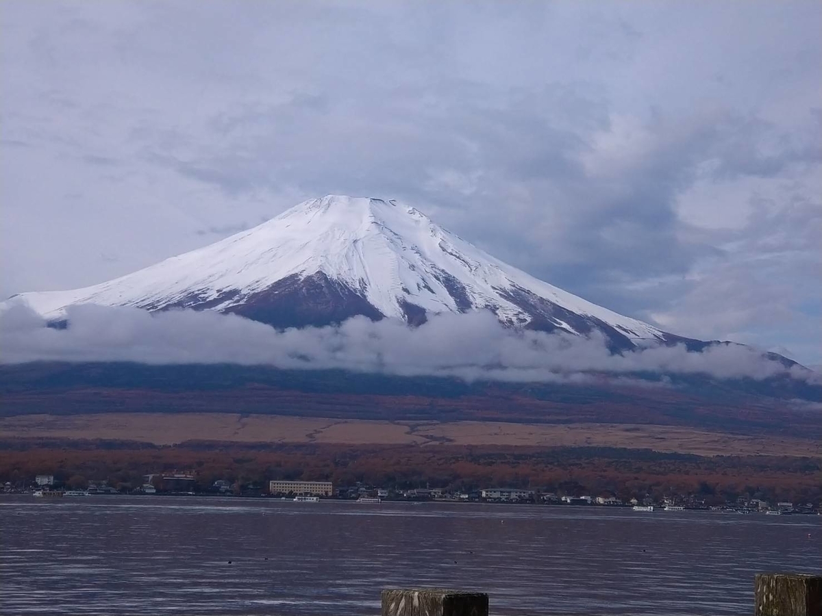 f:id:enjoyme:20211107151140j:plain