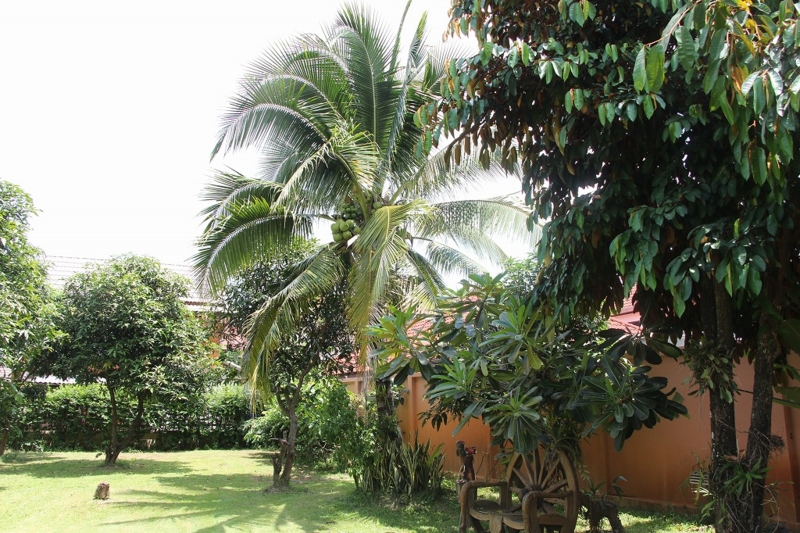 f:id:enjoythailand:20140913190716j:image:w640