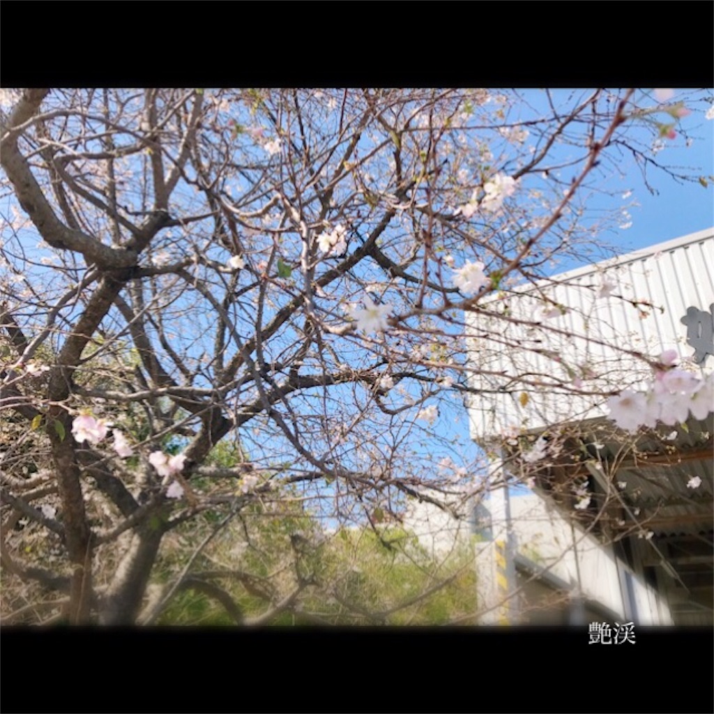 f:id:enkei4616579:20161223101555j:image f:id:enkei4616579:20161223101555j:image