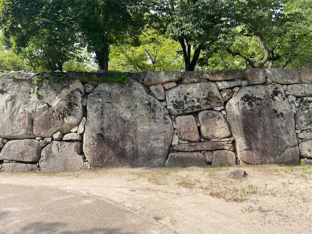 f:id:enlight-s2015:20250724183758j:image f:id:enlight-s2015:20250724183758j:image