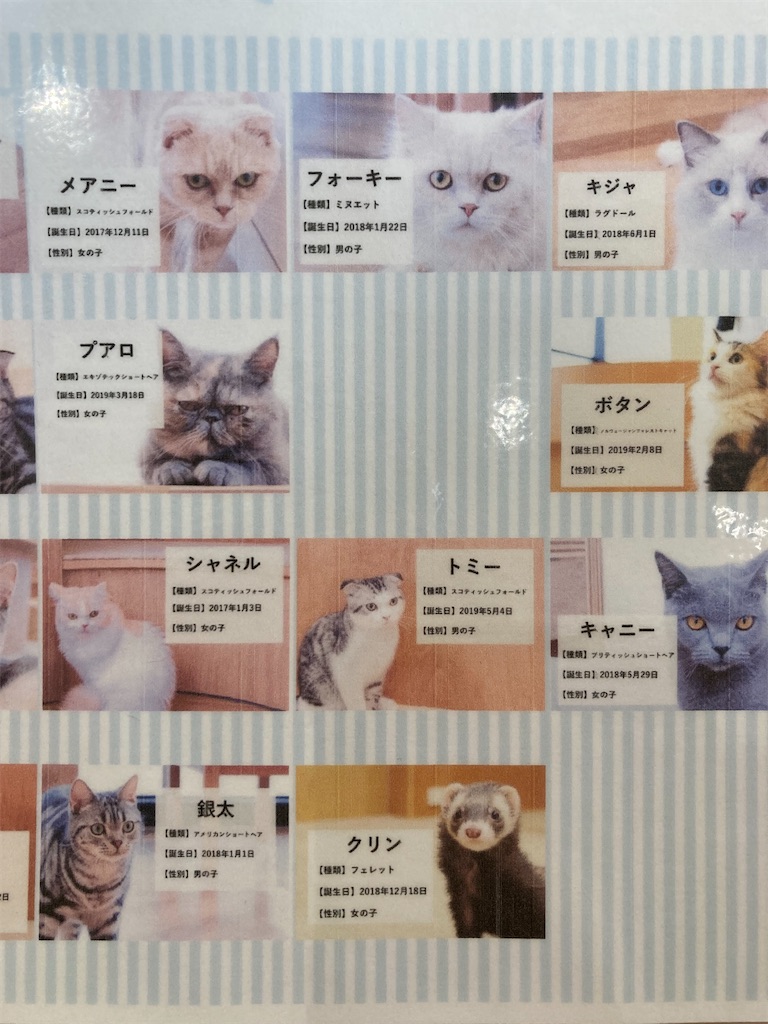 f:id:enmelsh:20211008055448j:image