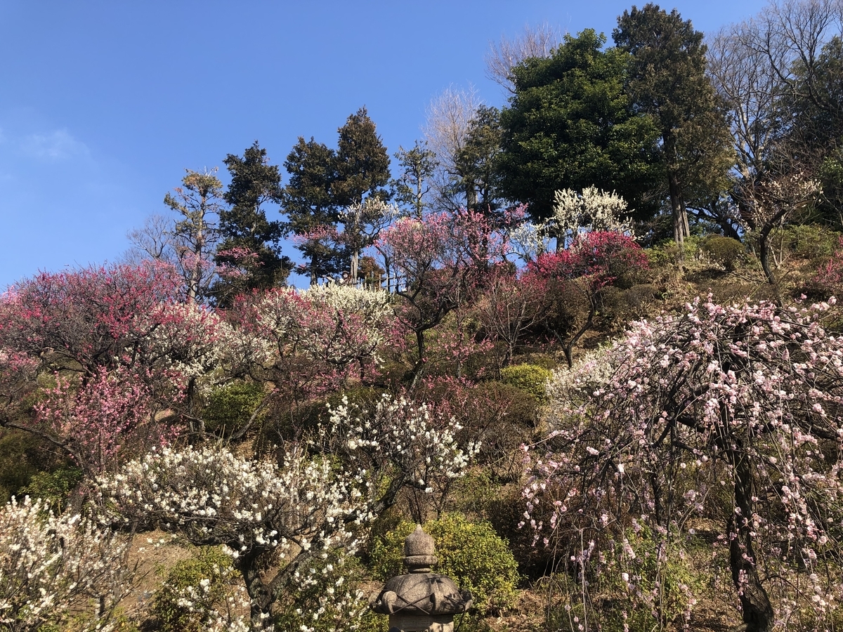 f:id:ennchang:20220313170310j:plain