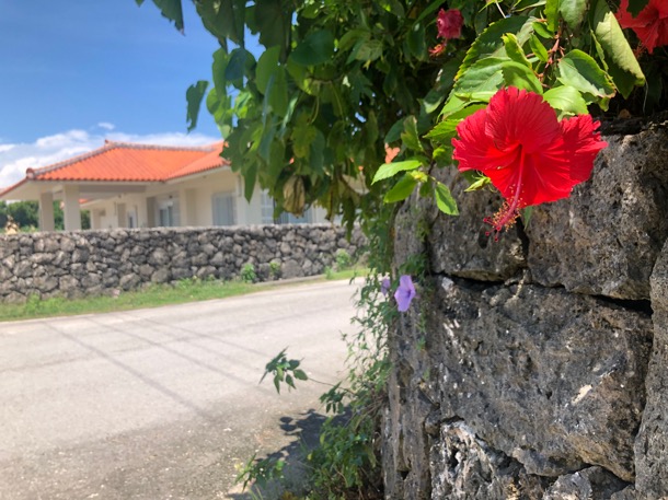 f:id:eno1208:20190912211822j:plain f:id:eno1208:20190912211822j:plain