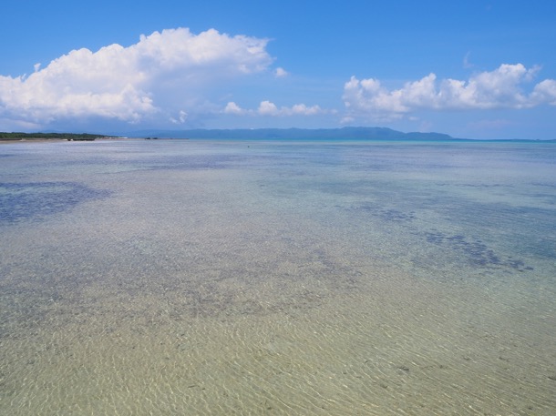 f:id:eno1208:20190912211841j:plain f:id:eno1208:20190912211841j:plain