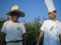 20060810164408