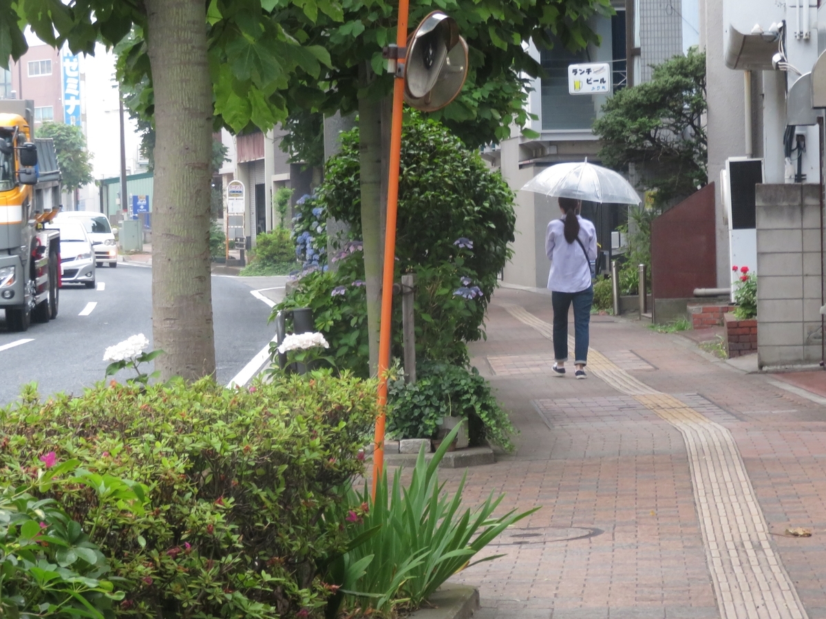 f:id:enoki3120:20190614153910j:plain