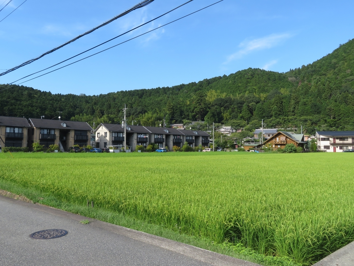 f:id:enoki3120:20190821213749j:plain f:id:enoki3120:20190821213749j:plain