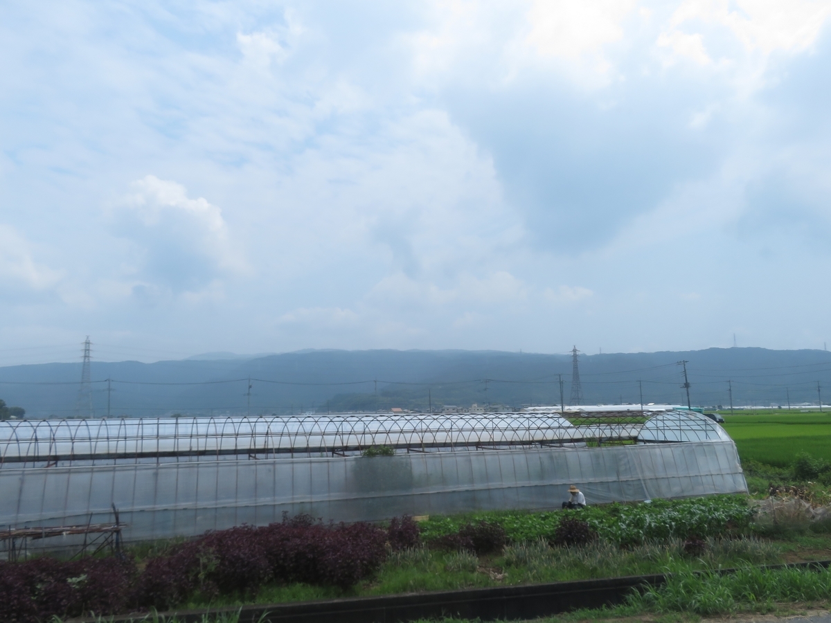 f:id:enoki3120:20190905220437j:plain