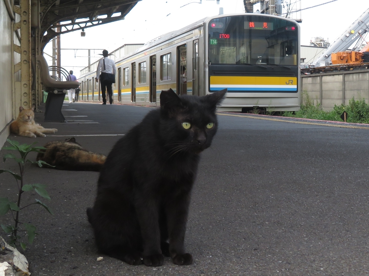 f:id:enoki3120:20190914110439j:plain
