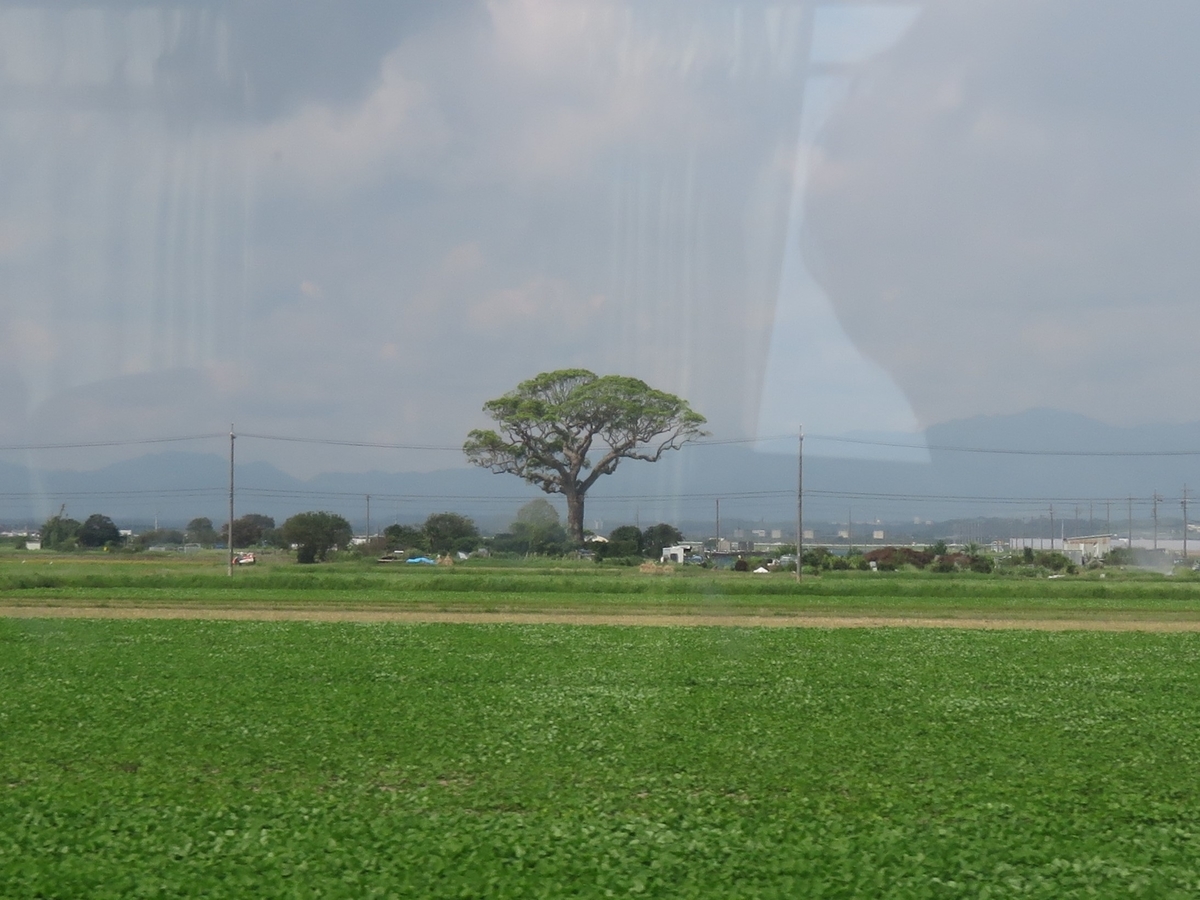 f:id:enoki3120:20191007155230j:plain