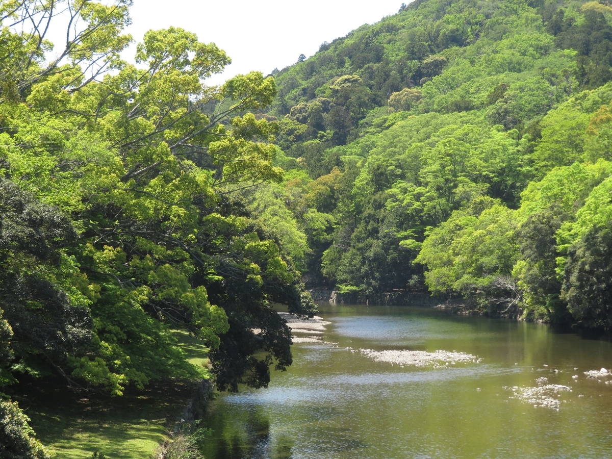 f:id:enoki3120:20191013092431j:plain