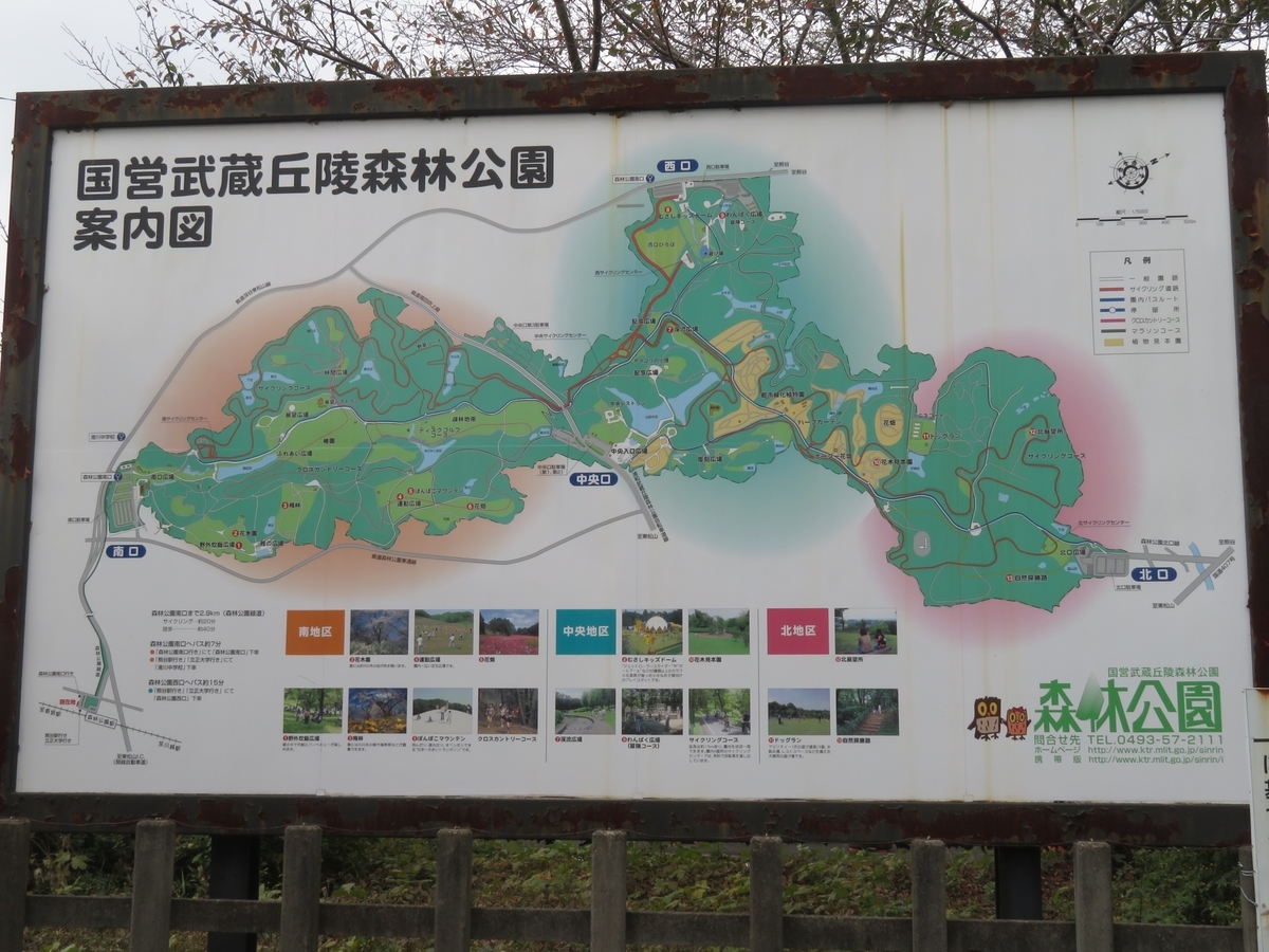 f:id:enoki3120:20191115184450j:plain f:id:enoki3120:20191115184450j:plain