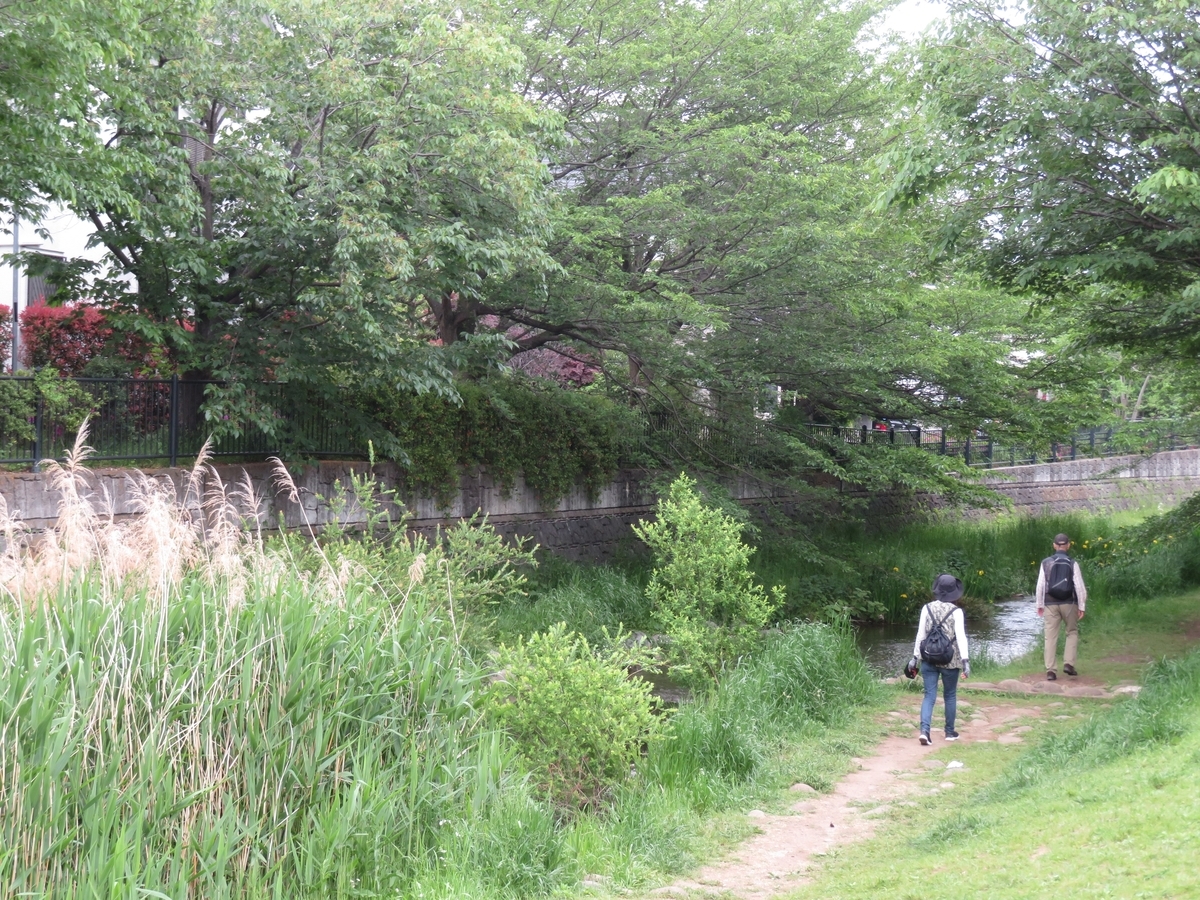 f:id:enoki3120:20200507213028j:plain