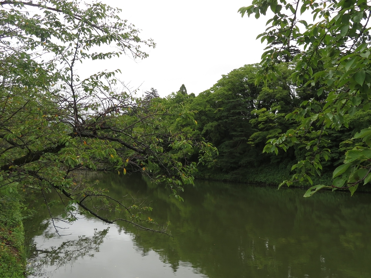 f:id:enoki3120:20200524202420j:plain f:id:enoki3120:20200524202420j:plain