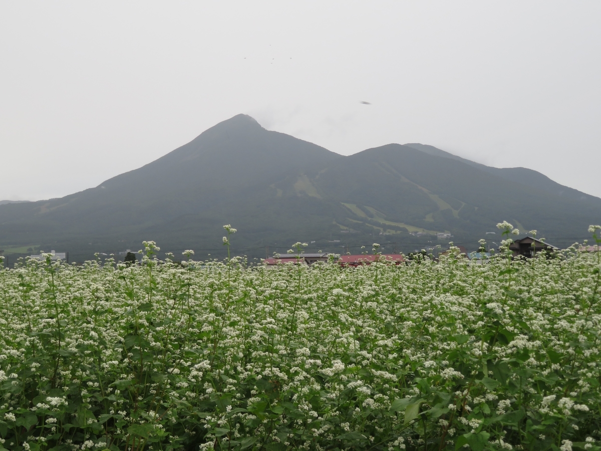 f:id:enoki3120:20200524213113j:plain f:id:enoki3120:20200524213113j:plain