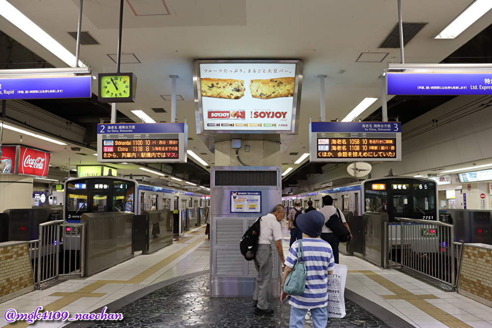 f:id:enoki3120:20200905222035j:plain