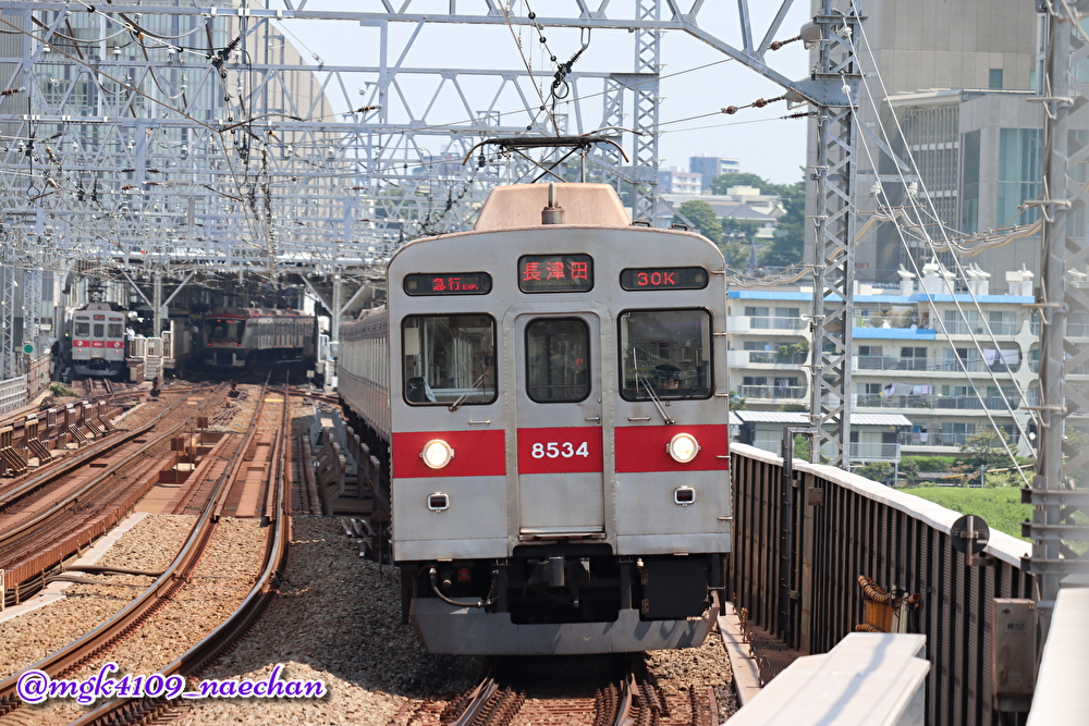 f:id:enoki3120:20200921230238j:plain