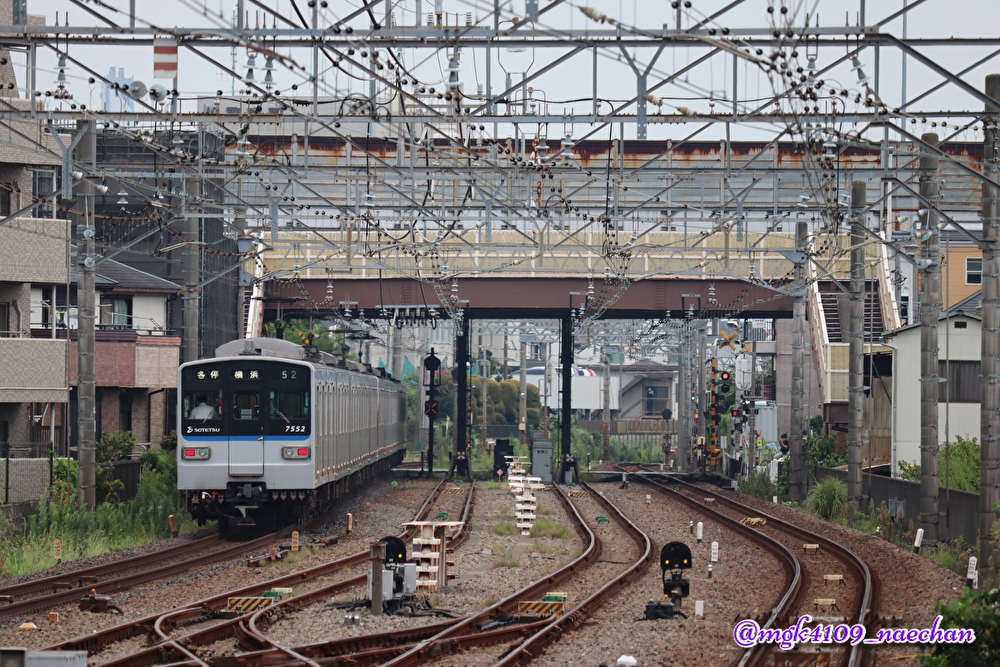 f:id:enoki3120:20201001225226j:plain