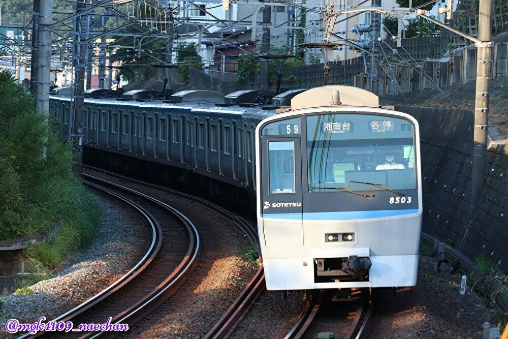 f:id:enoki3120:20201114200301j:plain