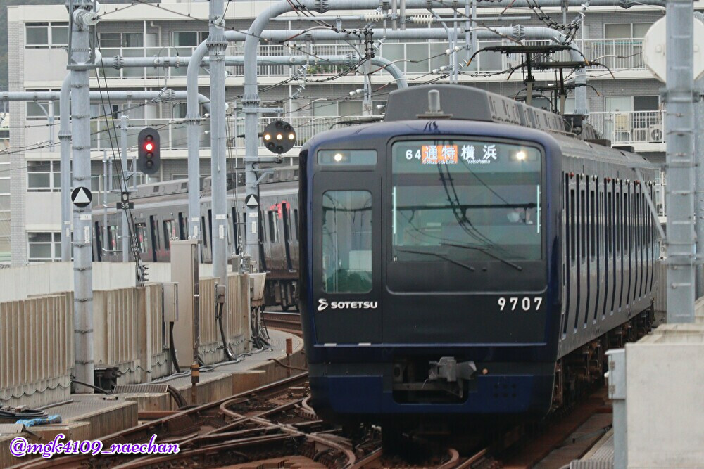 f:id:enoki3120:20201122193635j:plain