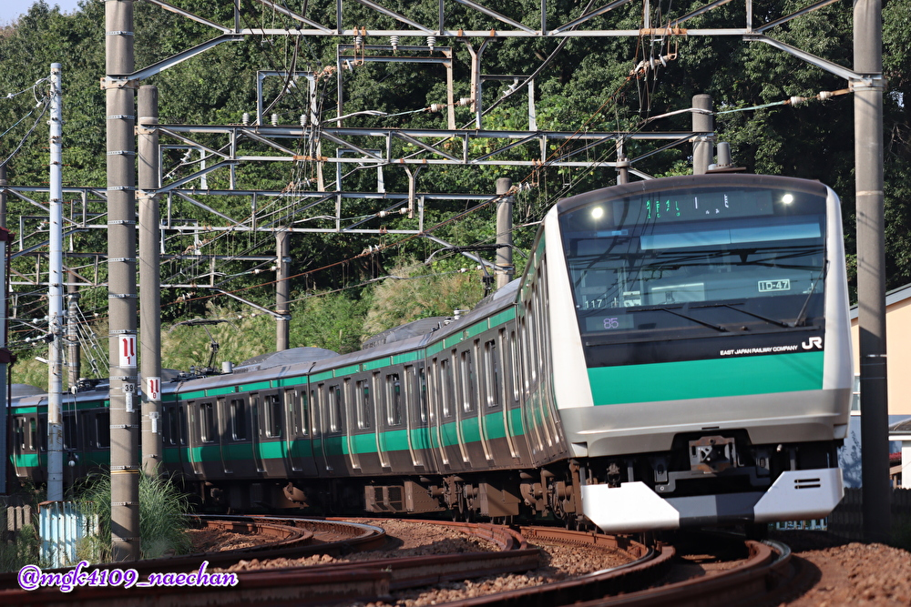 f:id:enoki3120:20201129202327j:plain