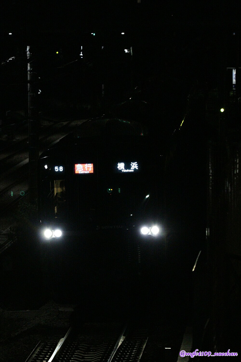f:id:enoki3120:20201204183433j:plain
