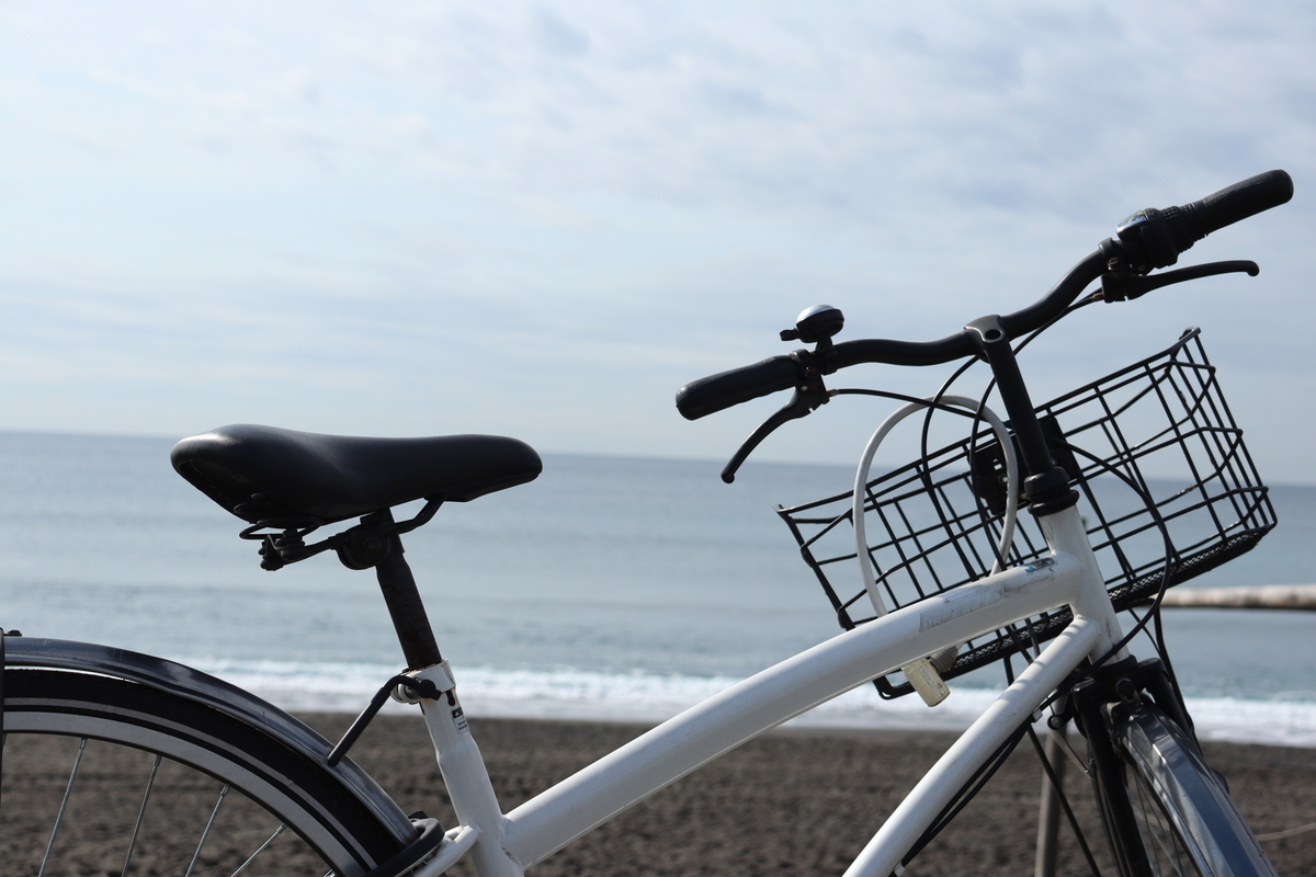 f:id:enoki3120:20210320092356j:plain