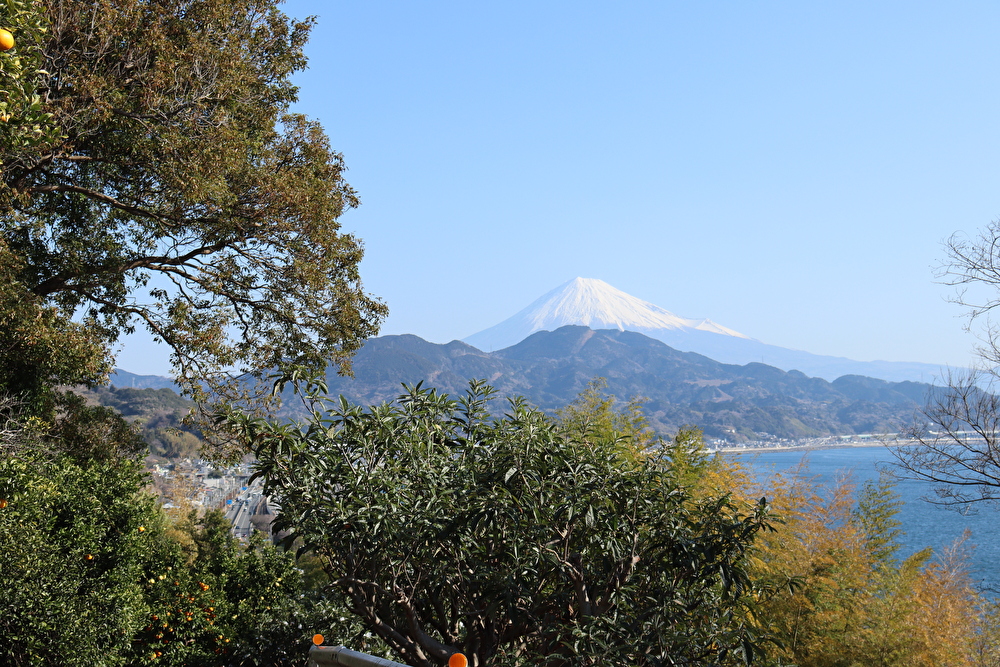 f:id:enoki3120:20210321095006j:plain
