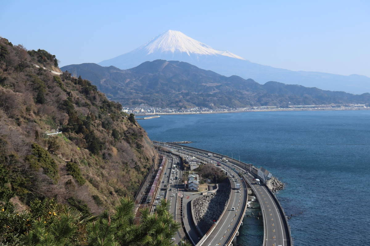 f:id:enoki3120:20210321150211j:plain