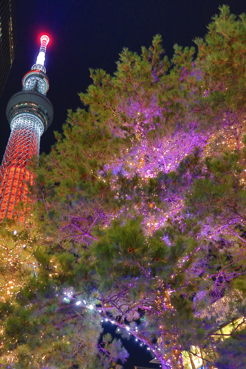 f:id:enoki3120:20210405204256j:plain