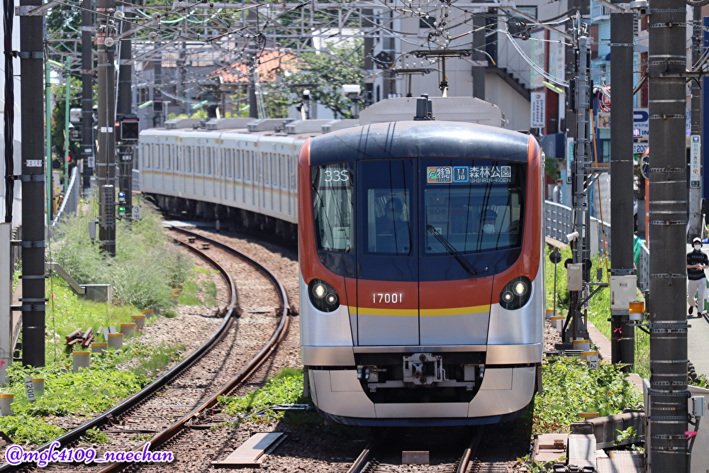 f:id:enoki3120:20210604073126j:plain