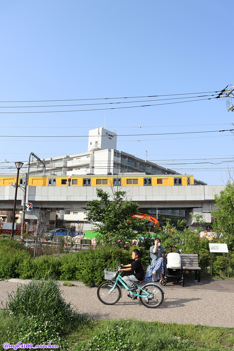 f:id:enoki3120:20210606204215j:plain
