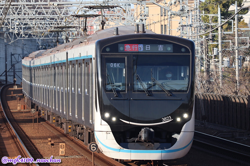 f:id:enoki3120:20210614074607j:plain
