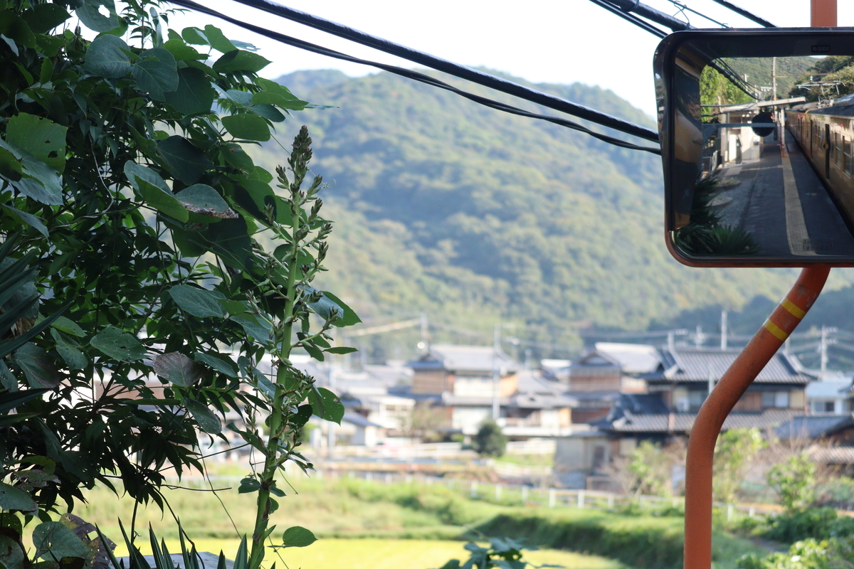 f:id:enoki3120:20211026074535j:plain