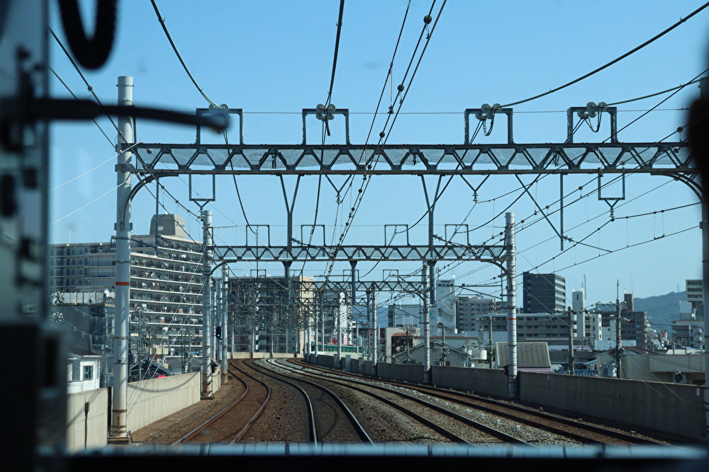 f:id:enoki3120:20211114184649j:plain