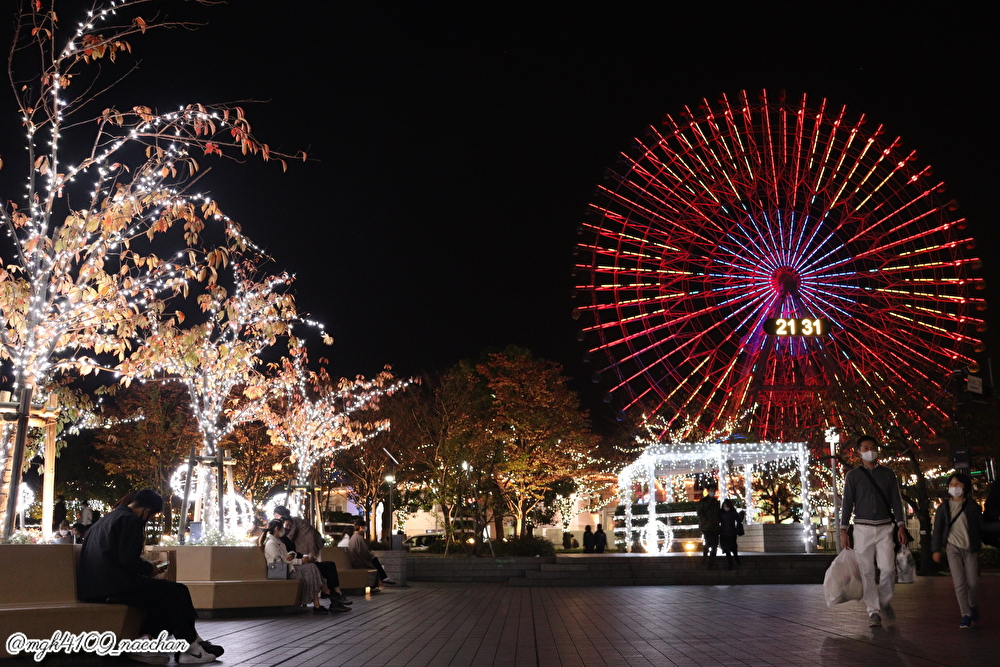 f:id:enoki3120:20211203075503j:plain