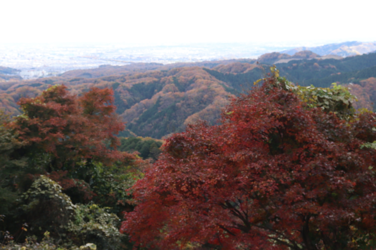 f:id:enoki3120:20211205145308j:plain
