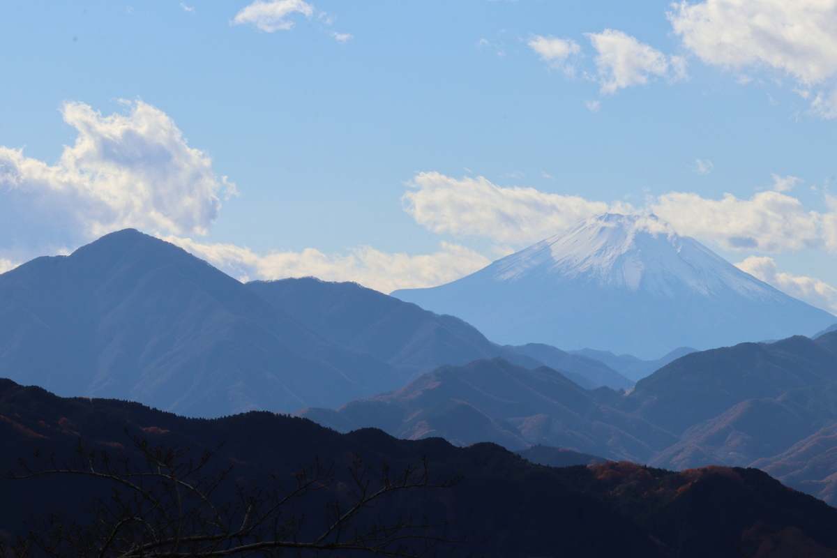 f:id:enoki3120:20211206225121j:plain