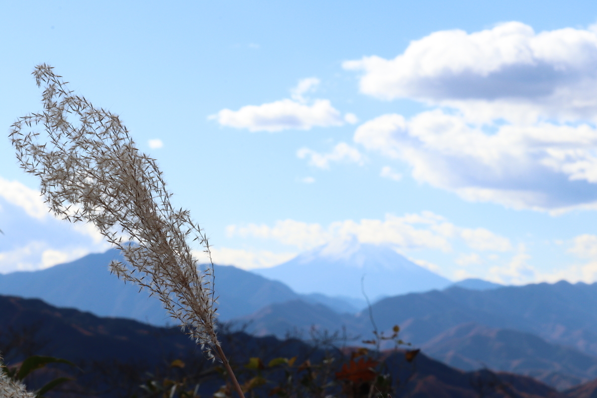 f:id:enoki3120:20211206225449j:plain