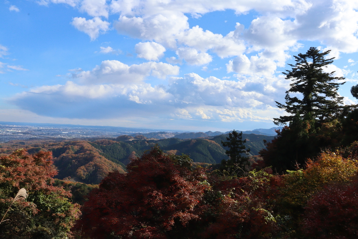 f:id:enoki3120:20211206230350j:plain