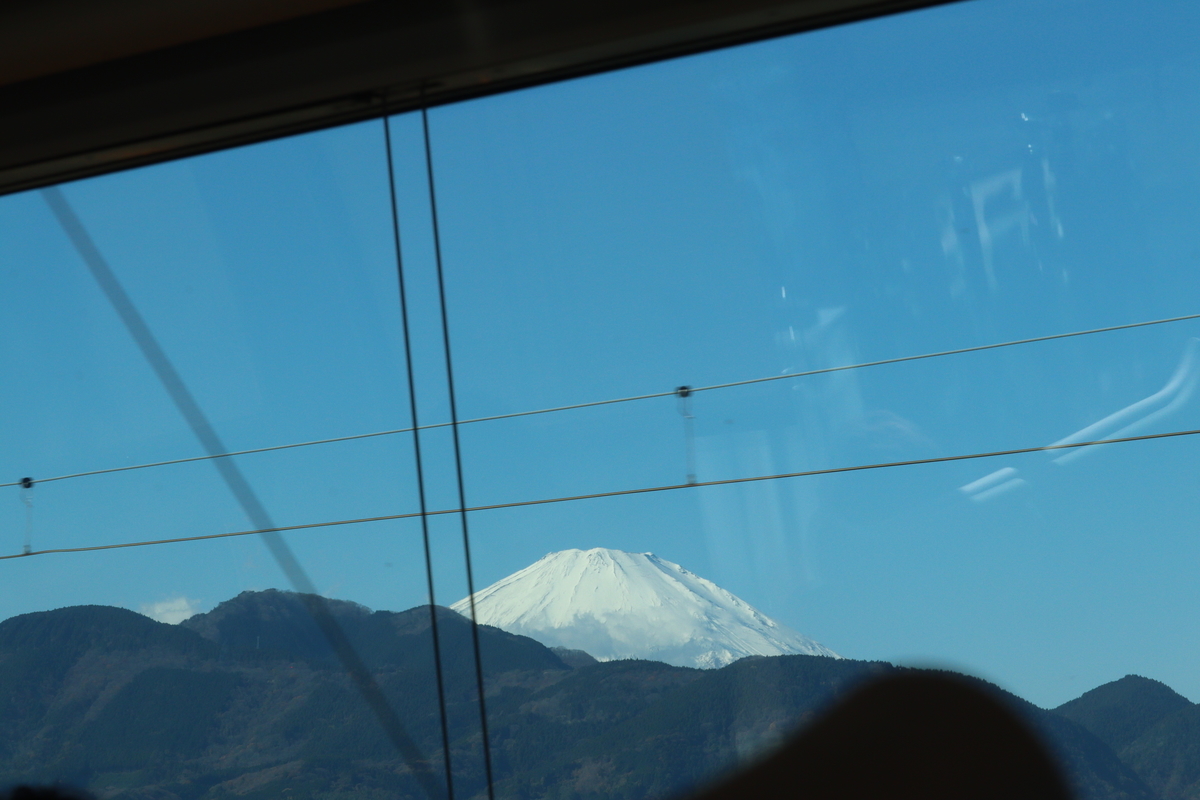 f:id:enoki3120:20211227082309j:plain