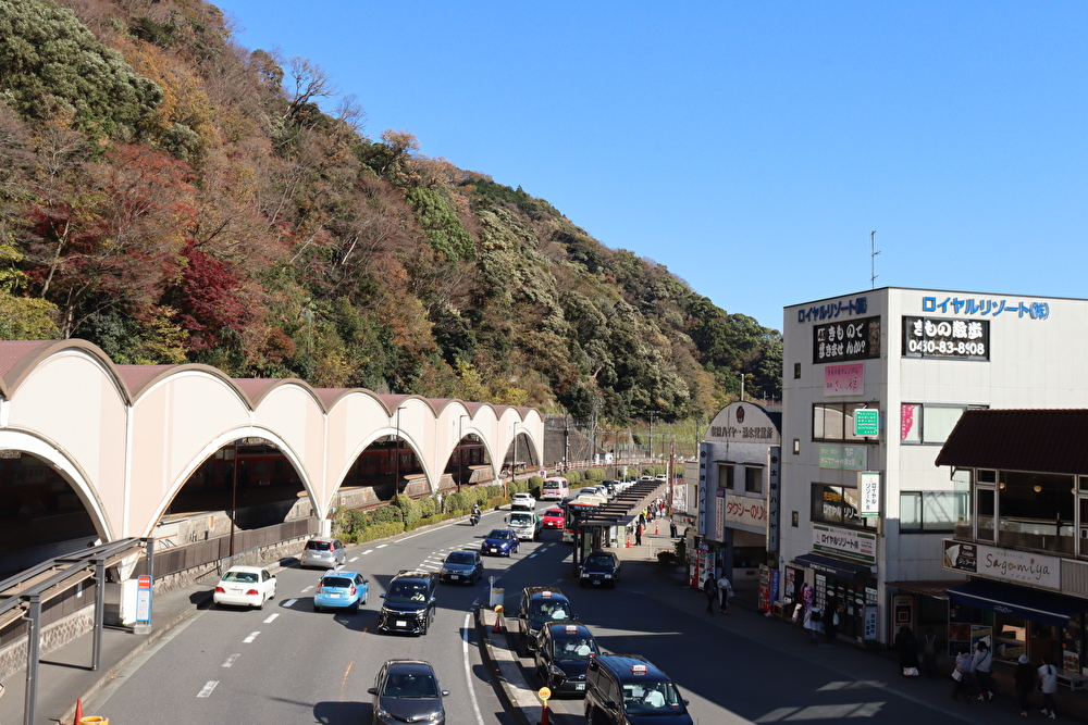 f:id:enoki3120:20211227082502j:plain