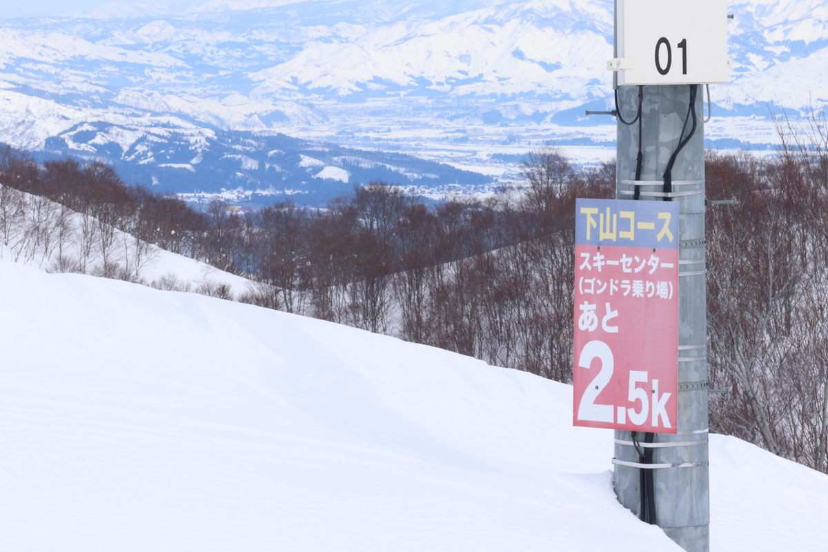 f:id:enoki3120:20220312195346j:plain