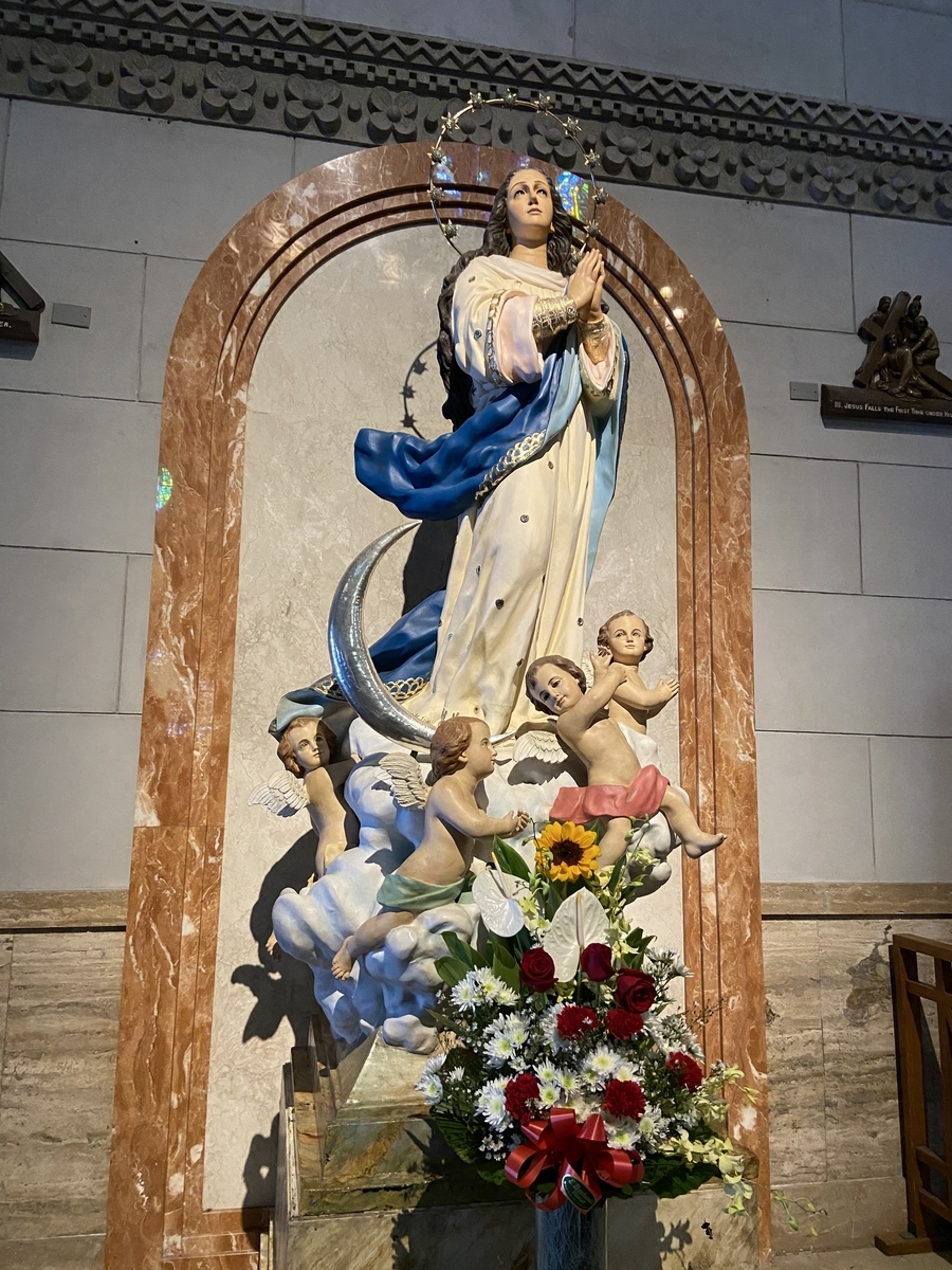 f:id:enokidakeiko:20191126110956j:plain f:id:enokidakeiko:20191126110956j:plain