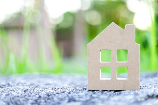 f:id:enokonkatsu:20191128181926j:plain