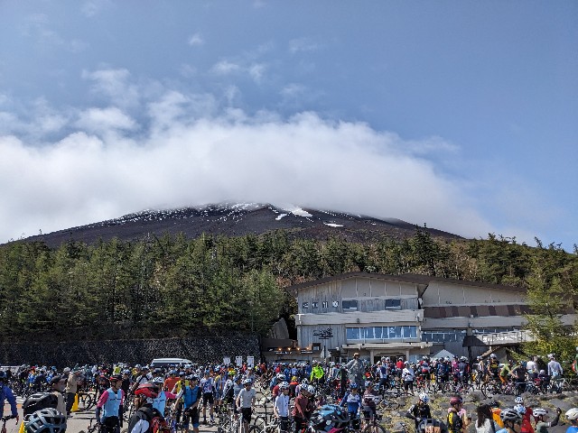 f:id:enokorowilier:20250601201026j:image