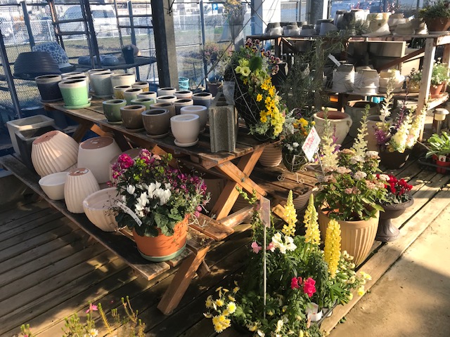 神奈川 寒川町の優良園芸店Floral Leaf（フローラルリーフ）に行ってき