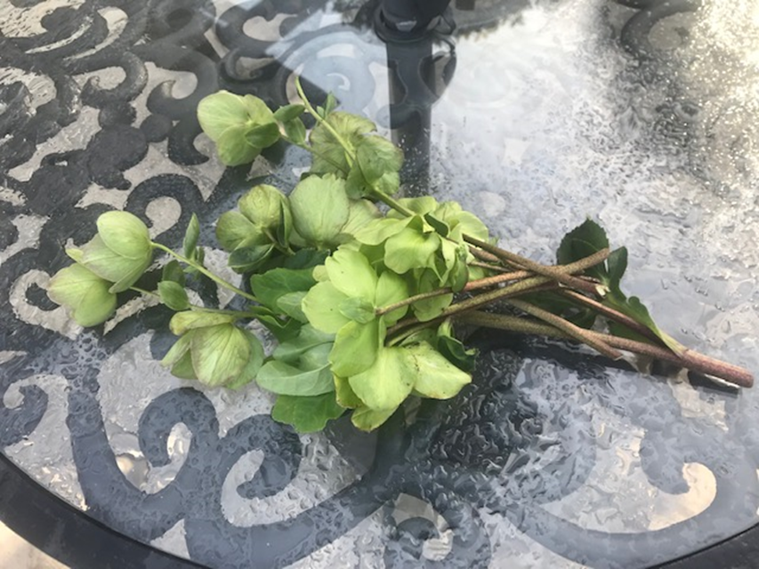 f:id:enoshima07:20200423124712p:plain