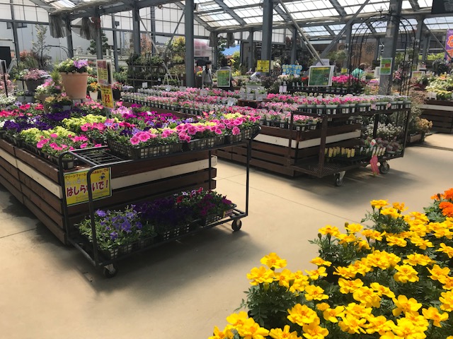 神奈川の大型園芸店 グリーンファーム Green Farm 戸塚深谷店に訪問 パパの手間いらず庭づくり